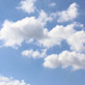 Meet your Posher, Cj